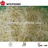 Wholesale price for frozen soybean sprout yellow hot sale