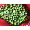 New Crop Bulk Frozen Green Peas Brands