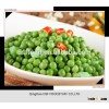 2015new season green pea processing plant and frozen green pea bulk