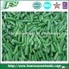 (whole & cut) IQF green beans by pro of safe and healthy food