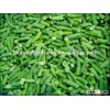 2015 iqf green beans , frozen green beans ( whole & cut )