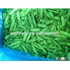 100% High Quality Frozen shelled edamame bean