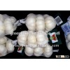 2016 fresh garlic supplier in China(4.5cm,5cm,5.5cm.6cm up)