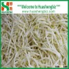 hot sale frozen/IQF bean sprouts