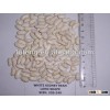 2013 luteng beans long white spackle kidney