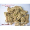 Organic DRY GINGER RHIZOME / Zingiber officinale / Ginger Dry T Cut Granules