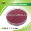 Competitive Price Organic Beet Powder