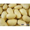 Fresh Potato