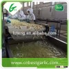 2015 new crop fresh peeled garlic packed in jar factory in jinxiang