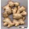 Chinese new harvest Organic ginger for food