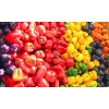 organic bulk bell pepper red bell pepper
