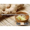 Organic Ginger Roots / Rhizomes