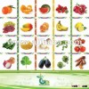 Fresh Fruits and Vegetables