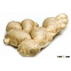Ginger - Powder or Whole - Wholesale Prices - www.agriprices.com - Visit Site For Free Samples