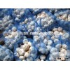 China Garlic With High Quality