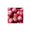 Fresh Onion New Crop available GRADE a FOR SALE HOT SALES