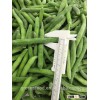 New Corp IQF Frozen Green Beans with stringless