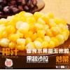 Fresh Sweet Corn Kernels Vacuum Intake No GMO Original Chinese Flavor