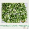 hot sals lowest price china Dried vegetable spring onion