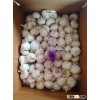 chinese fresh pure white garlic best price