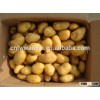 2016 NEW CROP Fresh Potato 100g up 10kg mesh bag/carton