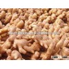 chinese fresh ginger dried ginger 2014 air dry ginger