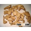 Ginger - Powder & Pieces - www.agriprices.com - Contact Us For Small & Large Orders