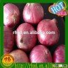 fresh onion importers malaysia
