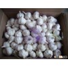 china salable pure while garlic for export
