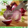 2016 red onion from China