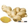 Organic fresh ginger Young
