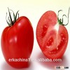 Purchase fresh vegetable bulk fresh large tomatoes