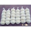 China hot sale pure white fresh garlic