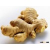 2014 New crop of fresh ginger in China , professional suppliers, exporter
