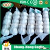 [Hot Sale] Garlic price/Fresh Garlic specification