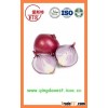 Fresh organic Red and Yellow Onion products with high certificate