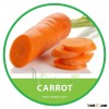HIGH QUALITY FRESH ORGANIC CARROT // VIETNAMESE VEGETABLE