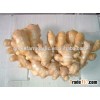 Professional Ginger Supplier Fresh Ginger