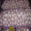 10kg normal white garlic 2016 crop