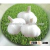 2016 chinese new crop normal white and pure white garlic in mesh bag/carton