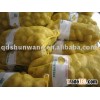 2011 fresh potato, new potato seed