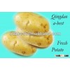 2015 Fresh Chinese potatoes
