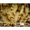 Ginger HFJP0001- Old /Fresh Ginger Slices, Air-dried, Organic, Natural, Raw Material, Health Food, G