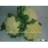Cauliflower