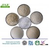 high quanlity dehydrated garlic from manufacture