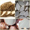 FRESH TARO - GOOD QUALITY - COMPETITIVE PRICE FROM VIETNAM