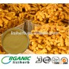 ISO Certificated Zingiber officinale Ross.powder / ginger powder / halia Padi powder for beverage