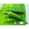 Organic Fresh Okra From Thailand