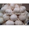 We are supply Chinese fresh garlic,Normal white garlic for sale