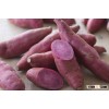 FRESH SWEET POTATO - HIGH QUALITY FROM VIETNAM